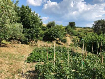 Terreno agricolo in vendita a Santa Marinella (RM)