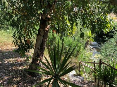 Terreno agricolo in vendita a Santa Marinella (RM)