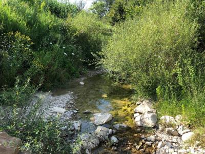 Terreno agricolo in vendita a Santa Marinella (RM)