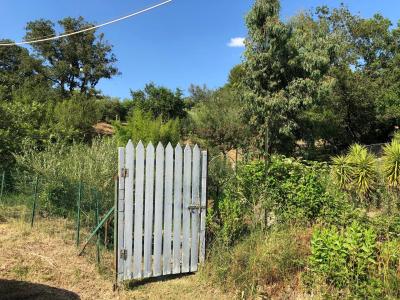 Terreno agricolo in vendita a Santa Marinella (RM)