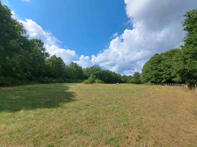 Terreno Agricolo in vendita