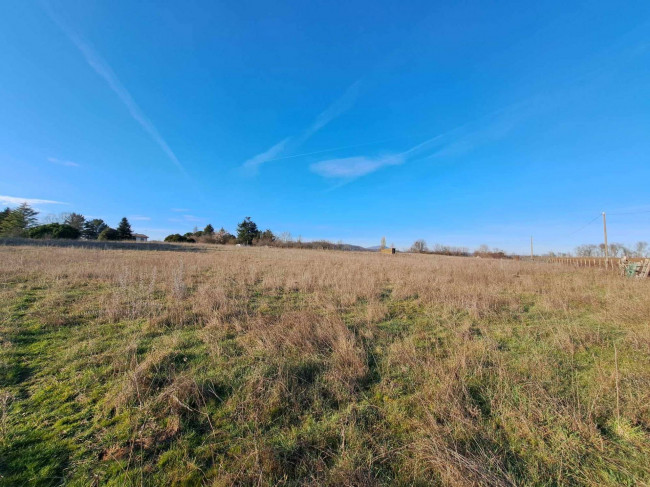 Terreno agricolo in vendita a Bassano Romano (VT)