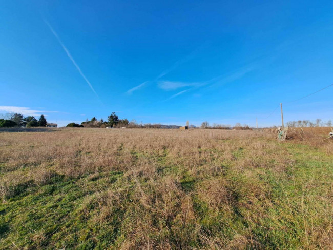 Terreno agricolo in vendita a Bassano Romano (VT)