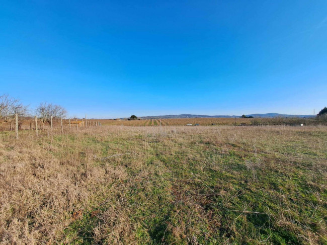 Terreno agricolo in vendita a Bassano Romano (VT)