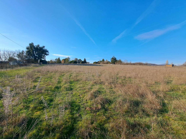 Terreno agricolo in vendita a Bassano Romano (VT)