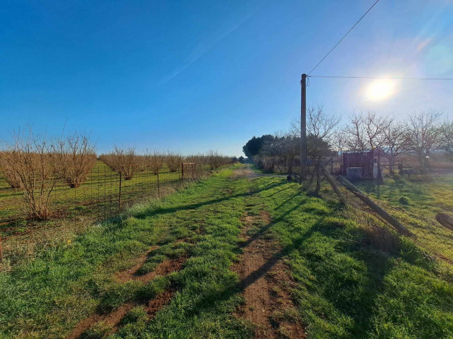 Terreno agricolo in vendita a Bassano Romano (VT)