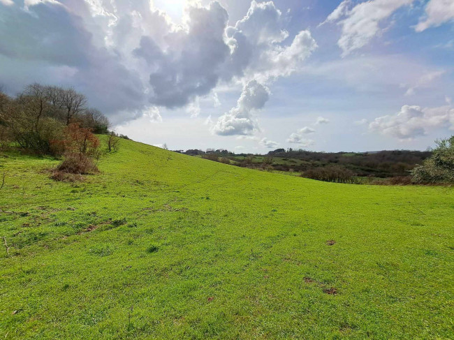 Villa in vendita a Oriolo Romano (VT)