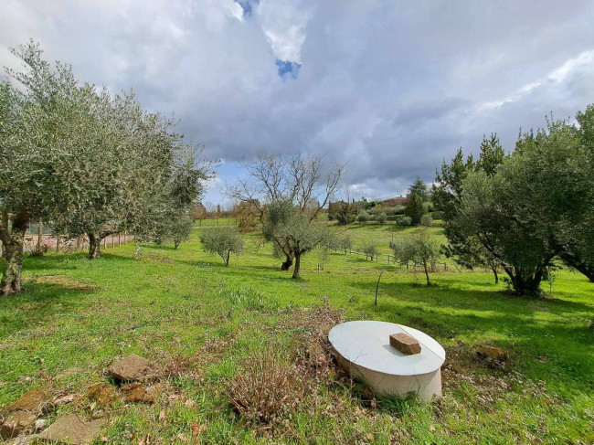 Villa in vendita a Oriolo Romano (VT)