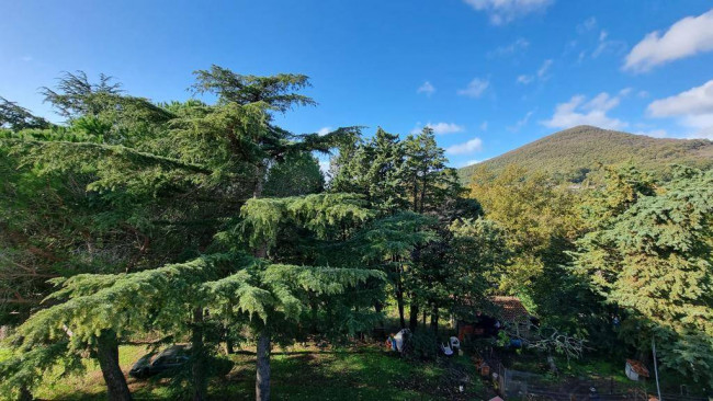 Casa indipendente in vendita a Trevignano Romano (RM)