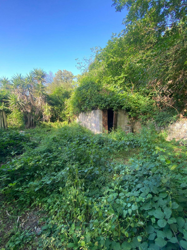 Casa Indipendente in vendita