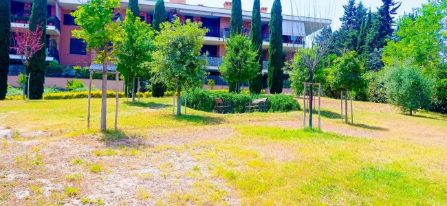 Appartamento 3 locali in vendita