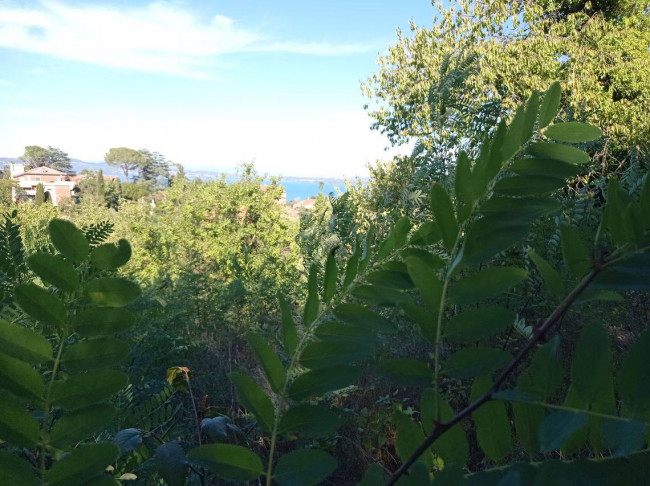 Terreno agricolo in vendita a Centro, Bracciano (RM)