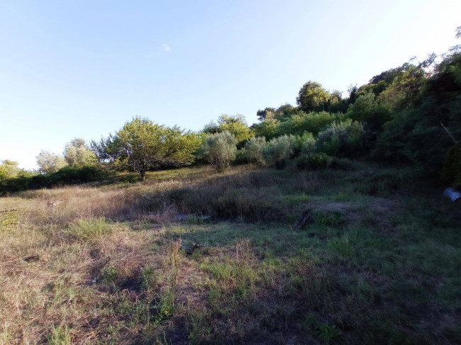 Terreno agricolo in vendita a Centro, Bracciano (RM)