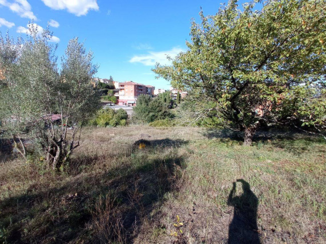 Terreno agricolo in vendita a Centro, Bracciano (RM)