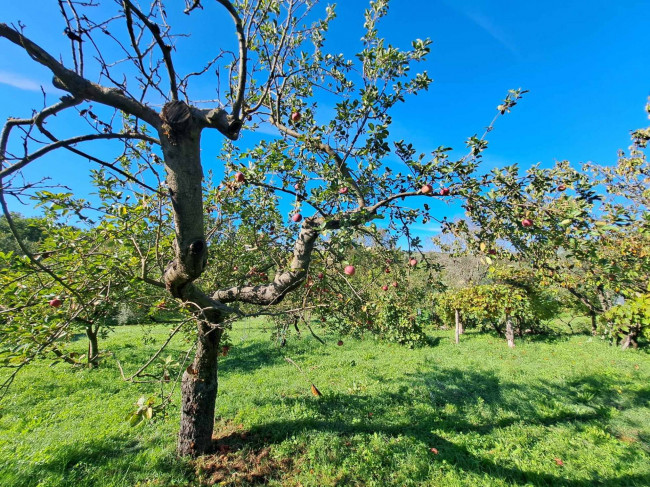 Magazzino in vendita a Barbarano Romano (VT)