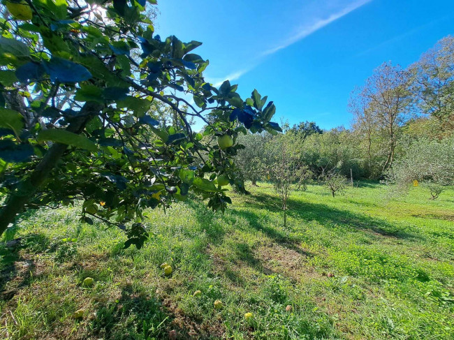 Magazzino in vendita a Barbarano Romano (VT)