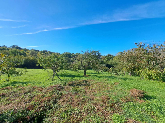 Magazzino in vendita a Barbarano Romano (VT)