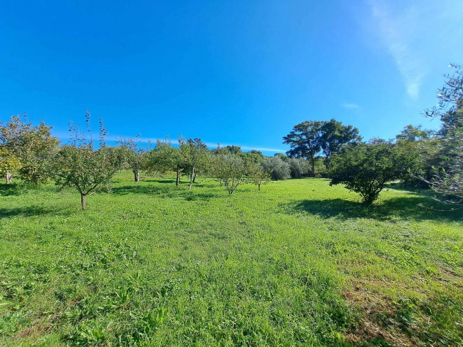 Magazzino in vendita a Barbarano Romano (VT)