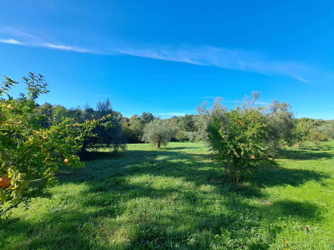 Magazzino in vendita a Barbarano Romano (VT)