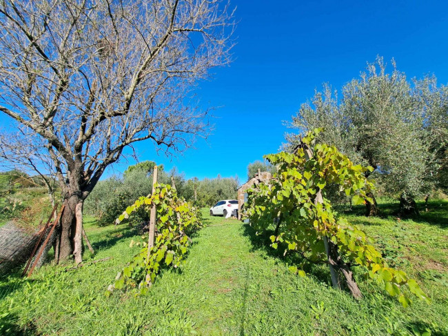 Magazzino in vendita a Barbarano Romano (VT)