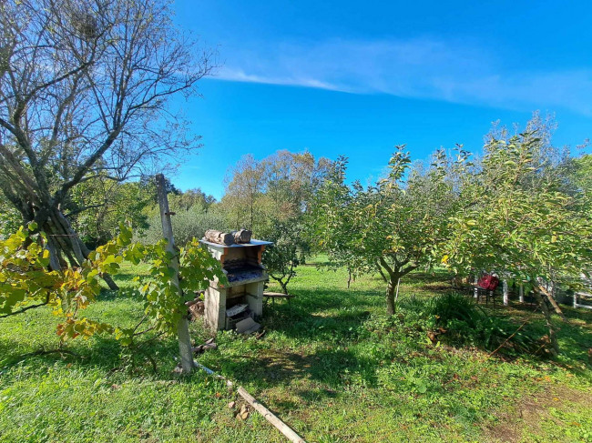 Magazzino in vendita a Barbarano Romano (VT)