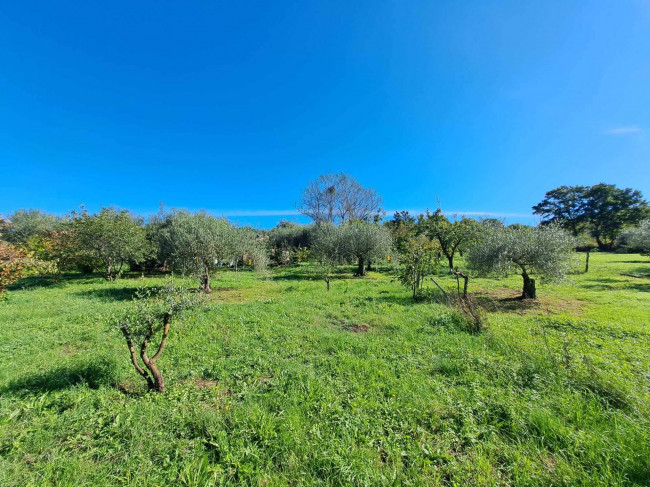 Magazzino in vendita a Barbarano Romano (VT)