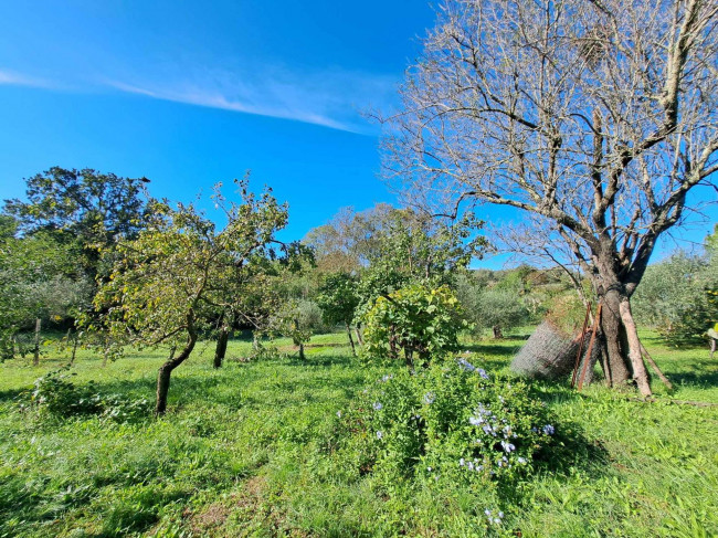 Magazzino in vendita a Barbarano Romano (VT)