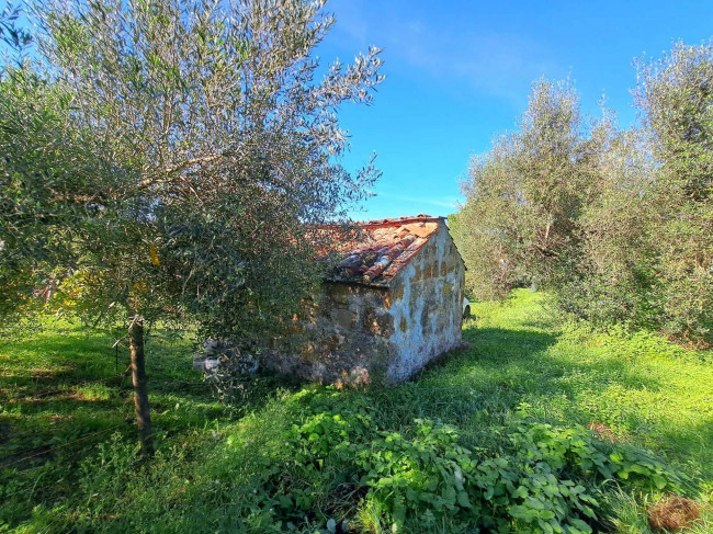 Magazzino in vendita a Barbarano Romano (VT)