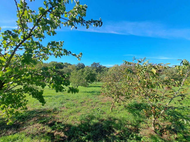 Magazzino in vendita a Barbarano Romano (VT)