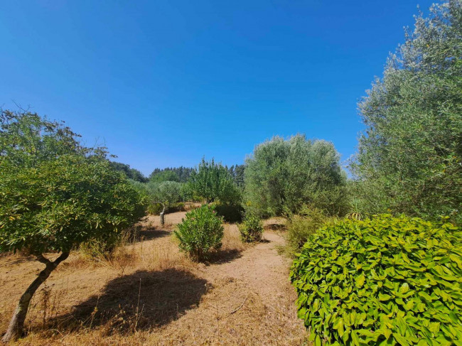 Casa indipendente in vendita a Barbarano Romano (VT)