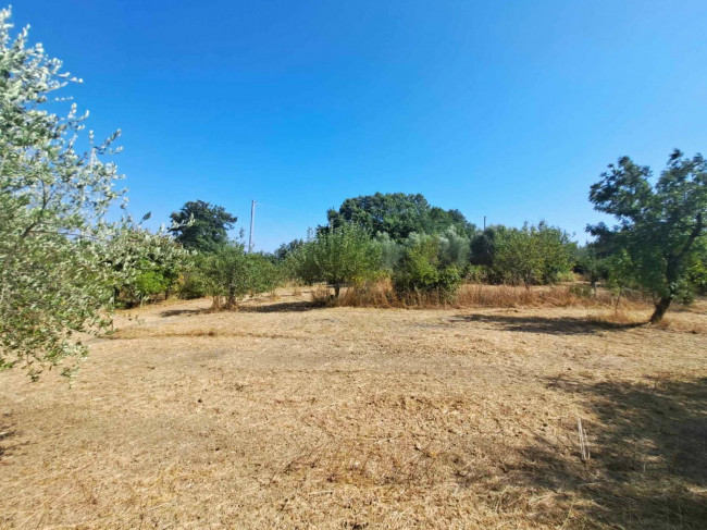 Casa indipendente in vendita a Barbarano Romano (VT)