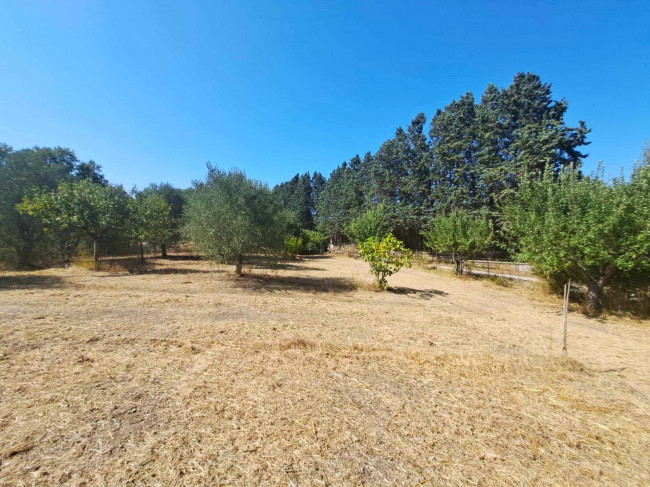 Casa indipendente in vendita a Barbarano Romano (VT)