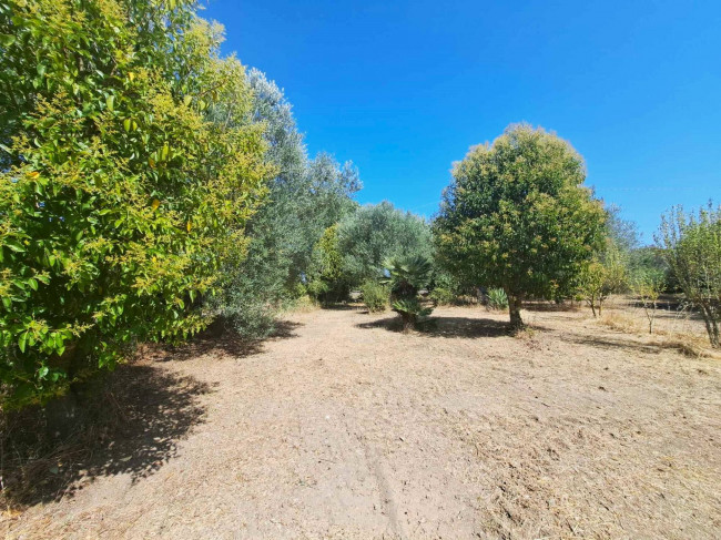 Casa indipendente in vendita a Barbarano Romano (VT)