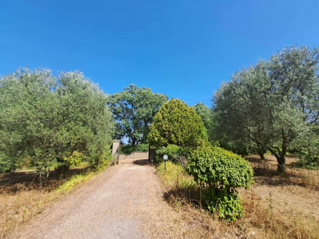 Casa indipendente in vendita a Barbarano Romano (VT)