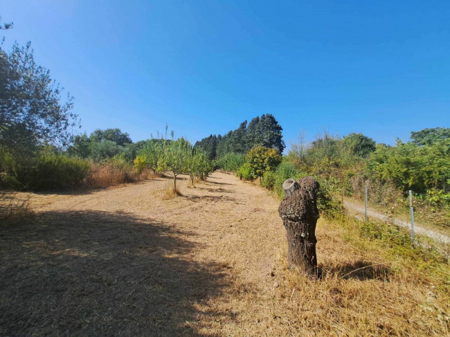 Casa indipendente in vendita a Barbarano Romano (VT)