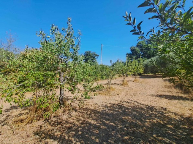 Casa indipendente in vendita a Barbarano Romano (VT)