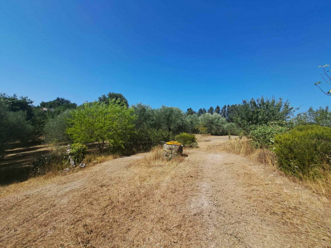 Casa indipendente in vendita a Barbarano Romano (VT)