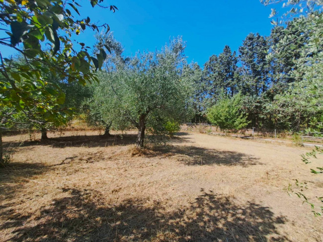 Casa indipendente in vendita a Barbarano Romano (VT)