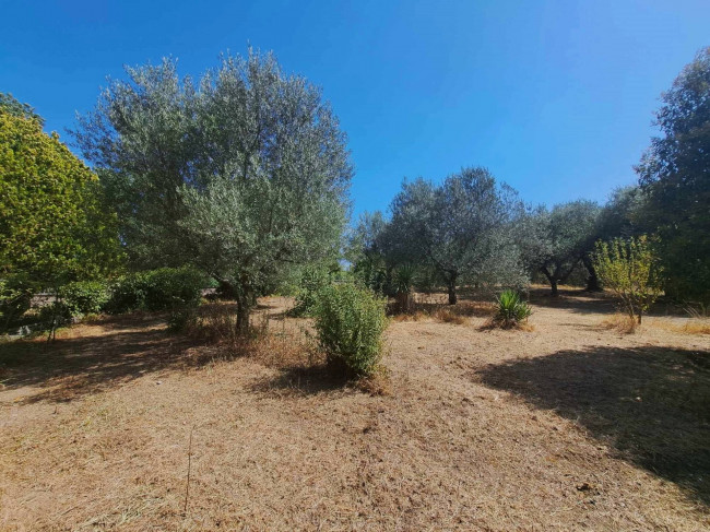 Casa indipendente in vendita a Barbarano Romano (VT)