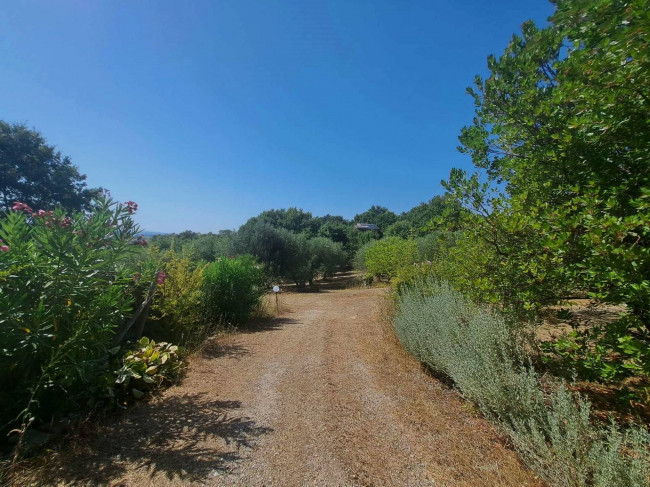 Casa indipendente in vendita a Barbarano Romano (VT)