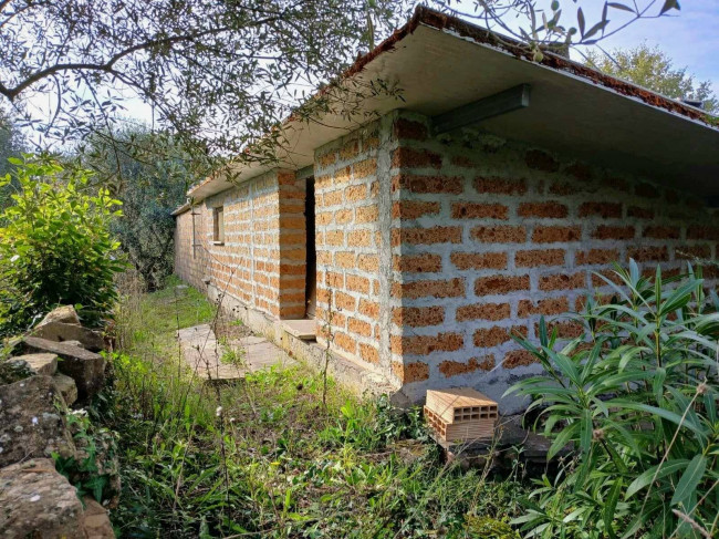 Casa indipendente in vendita a Barbarano Romano (VT)