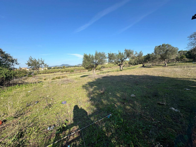 Terreno agricolo in vendita a Cerveteri (RM)