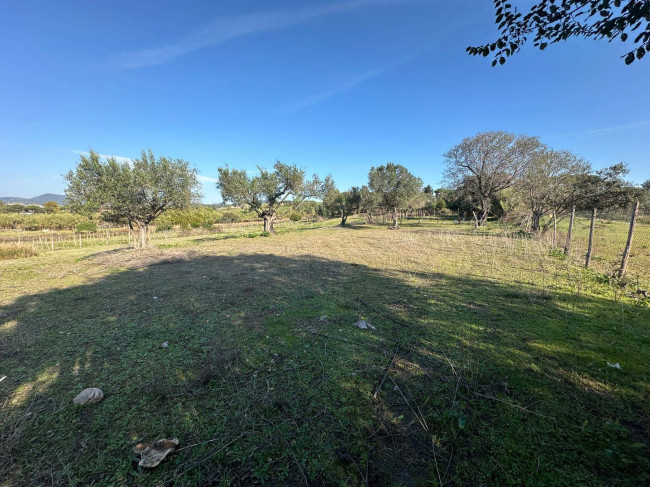 Terreno agricolo in vendita a Cerveteri (RM)