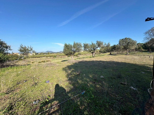 Terreno agricolo in vendita a Cerveteri (RM)