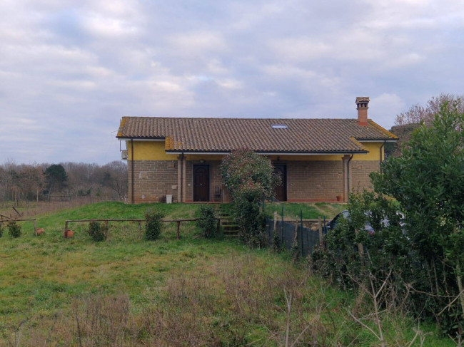 Terreno Agricolo in vendita