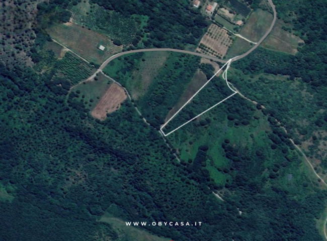 Terreno Agricolo in vendita