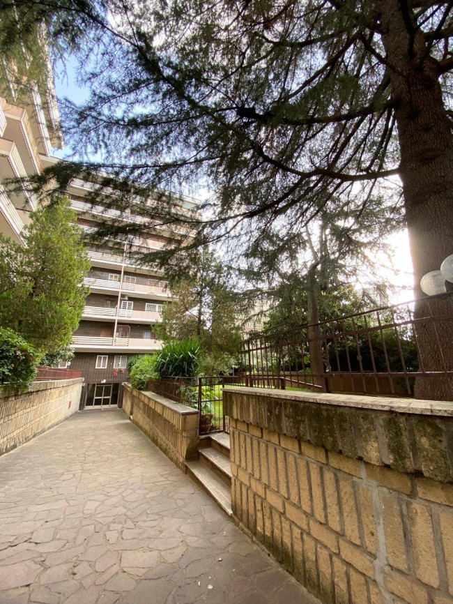 Appartamento 2 locali in affitto