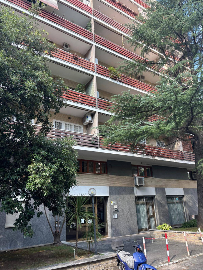 Appartamento 3 locali in affitto