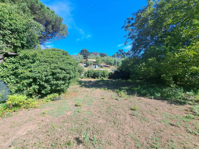 Terreno Agricolo in vendita