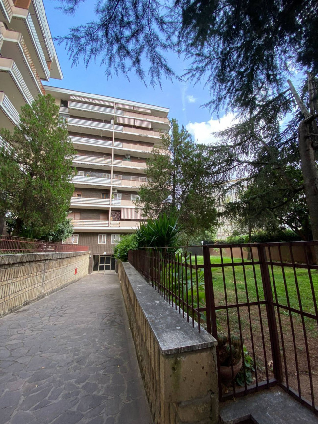 Appartamento 2 locali in affitto